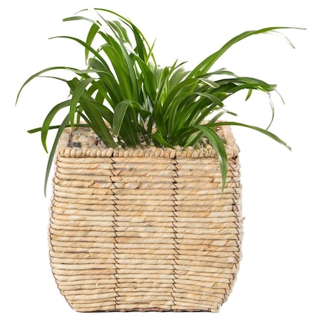 Foro Woven Square Flower Pot Planter with Leak-Proof Plastic Lining - Medium FO3168208